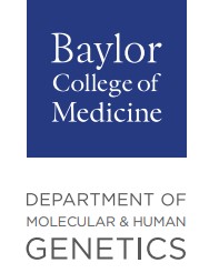 BCM Dept Logo Molecular Human Genetics